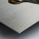 Anas Nettion Crecca Metal print