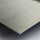 Common gull larus canu Metal print