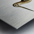 Common snipe capella gallinago Metal print