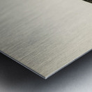 Red-thoated loon Colymbus stellatus Metal print