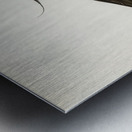 Northern labwing Vanellus vanellus Metal print