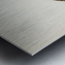 Ruddy turnstone arenaria interpres  Metal print