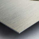 Willow ptarmigan male Lagopus lagopus Metal print