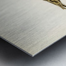 Little crake porzana parva Metal print