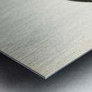 Hybrid between Black grouse and Willow ptarmigan Lyrurus tetrix ♂ x lagopus lagopus ♀ Metal print