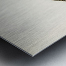 Water pipi ANTHUS SPINOLETTA RUPESTRIS Metal print