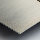 Hirundo Urbica Metal print