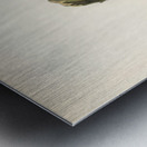 Lesser spotted woodpecker Dryobates minor Metal print