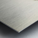 Willow ptarmigan Metal print