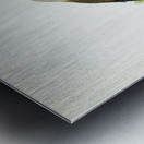 Hawfinch Coccothraustes coccothraustes Metal print