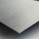 Common redshank Totanus totanus Metal print