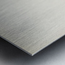 AMPELIS GARRULUS Metal print