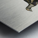 Hybrid between Black grouse and Willow ptarmigan Yrurus tetrix x lagopus lagopus Metal print