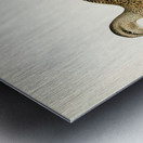 Mallard female Anas platyrhynchos Impression metal