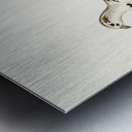 Hybrid between Western capercaillie and Willow ptarmigan Tetrao urogallus x lagopus lagopus Metal print