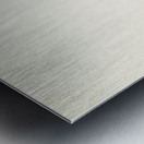 Rook Corvus Frugilegus Metal print