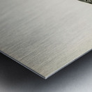 Talgoxe PARUS MAJOR LIN. Metal print