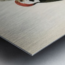 Dryobates medius Metal print