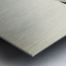 Black-headed gull Larus Ridibundus Metal print