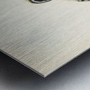 Three-toed woodpecker Picoides Tridactylu Metal print