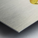 Eurasian golden oriole male Oriolus oriolus bird Metal print