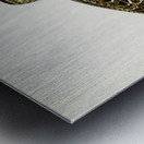 Great snipe Capella media Metal print