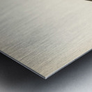 Young common house-martin Hirundo urbica Metal print