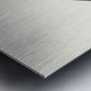 Tetrao Urogallus Metal print