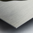 Common Buzzard BUTEO BUTEO Metal print