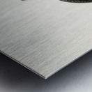 Horned grebe-in spring Podiceps auritus Metal print