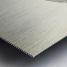 Common Crane Grus Grus Metal print