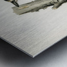 Great spotted woodpecker-male Dryobates major Metal print