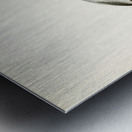 Common Pochard male ♂ Nyroca ferina Metal print