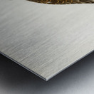 Eurasian Sparrowhawk Accipiter nisus Metal print