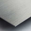 Horned lark Eremophila alpestris flava Metal print