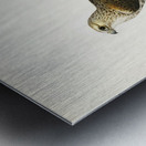 Rough-legged Hawk TRIORCHIS LAGOPUS Metal print