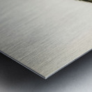 Cinnamon teal Spatula cyanoptera Metal print