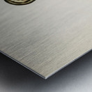 Young horned grebe Podiceps auritus Metal print