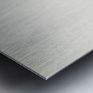 Black scoter female Oidemia nigra Metal print