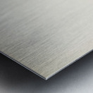 Meadow pipit Anthus pratensis Metal print