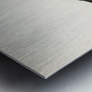 Blackbird ♀ Turdus merula Impression metal