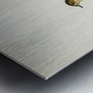 Red-throated pipit Anthus cervinus bird Metal print