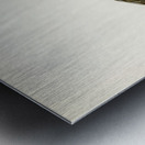 Garganey male Anas querquedula Metal print