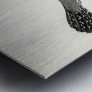 Common cuckoo-male Cuculus canorus Metal print