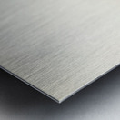 Western capercaillie TETRAO UROGALLUS Metal print