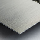 Lesser blak-backed gull Larus fuscus Metal print