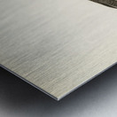 Goldeneye female Bucephala clangula Metal print