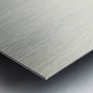 Common rosefinch male Carpodacus erythrinus Metal print