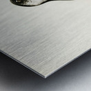 Little auk Alle alle Metal print