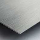 LARUS LEUCOPTERUS Metal print